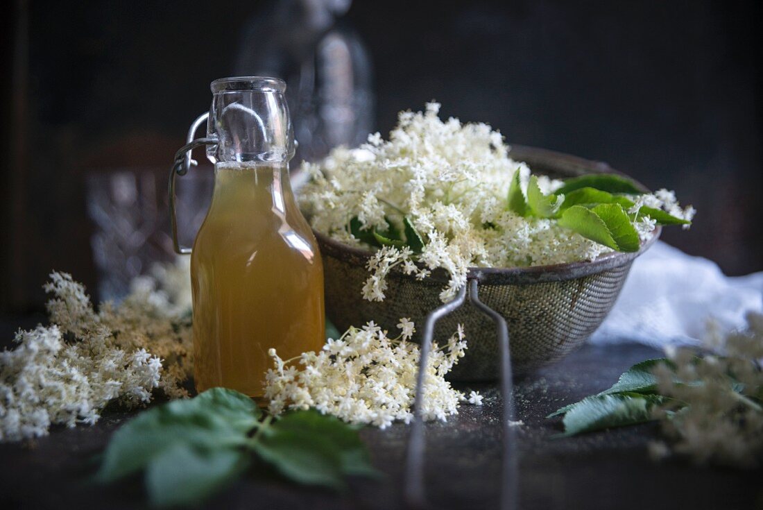 Holunderblütensirup und Holunderblüten