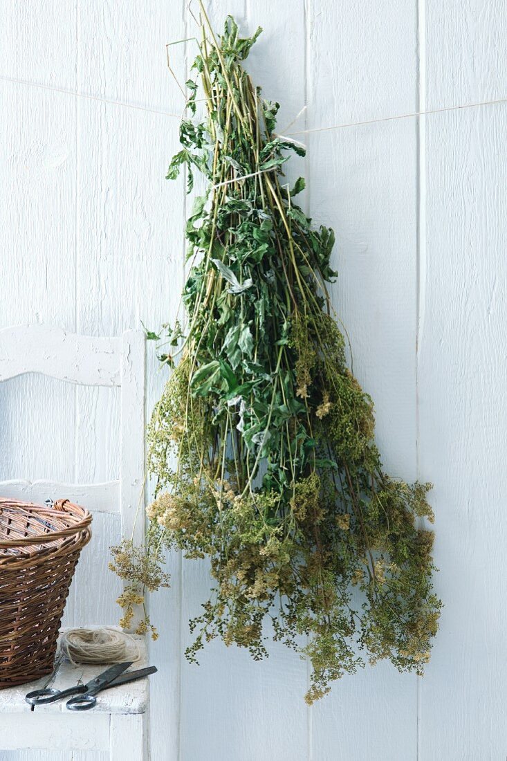 A herb bouquet, hung up to dry