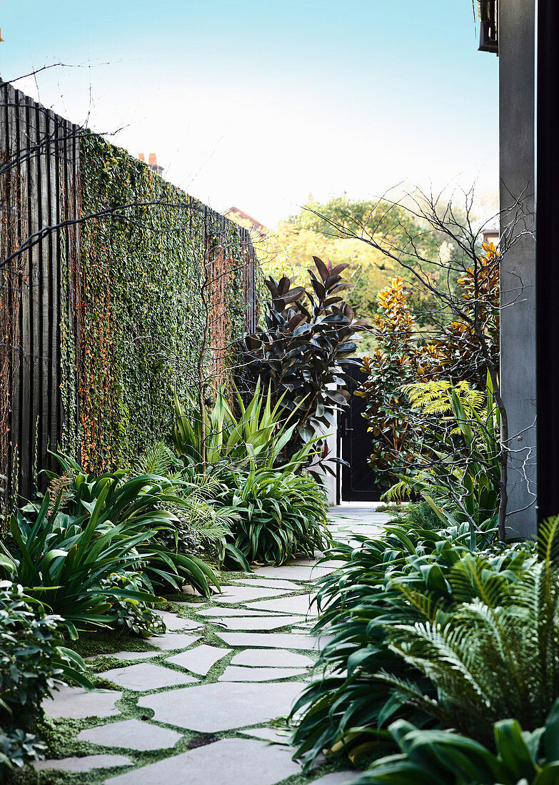 Garden path with stone slabs, surrounded by plants and wooden fence