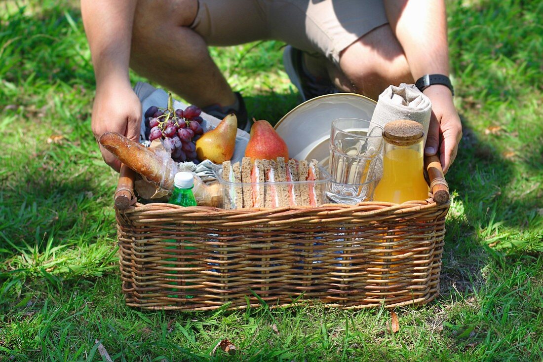 A young male holding a picnic basket of drinks, fruit and sandwiches
