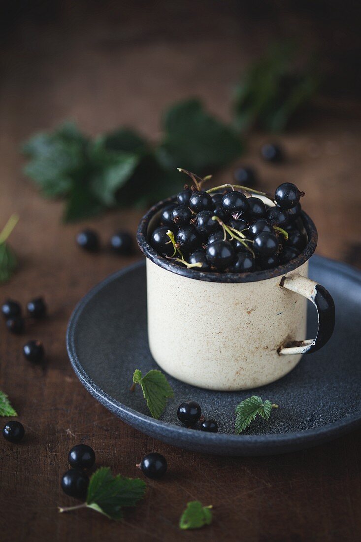 Blackcurrant in rustic a cup