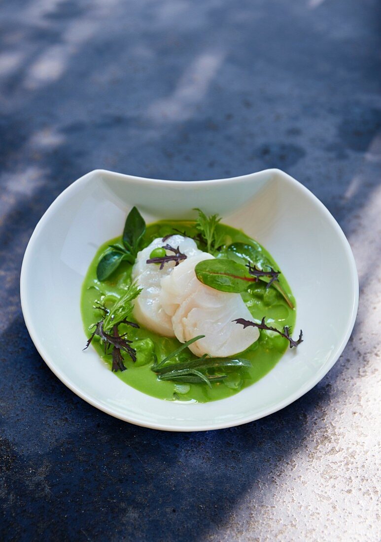 Cod in herb sauce