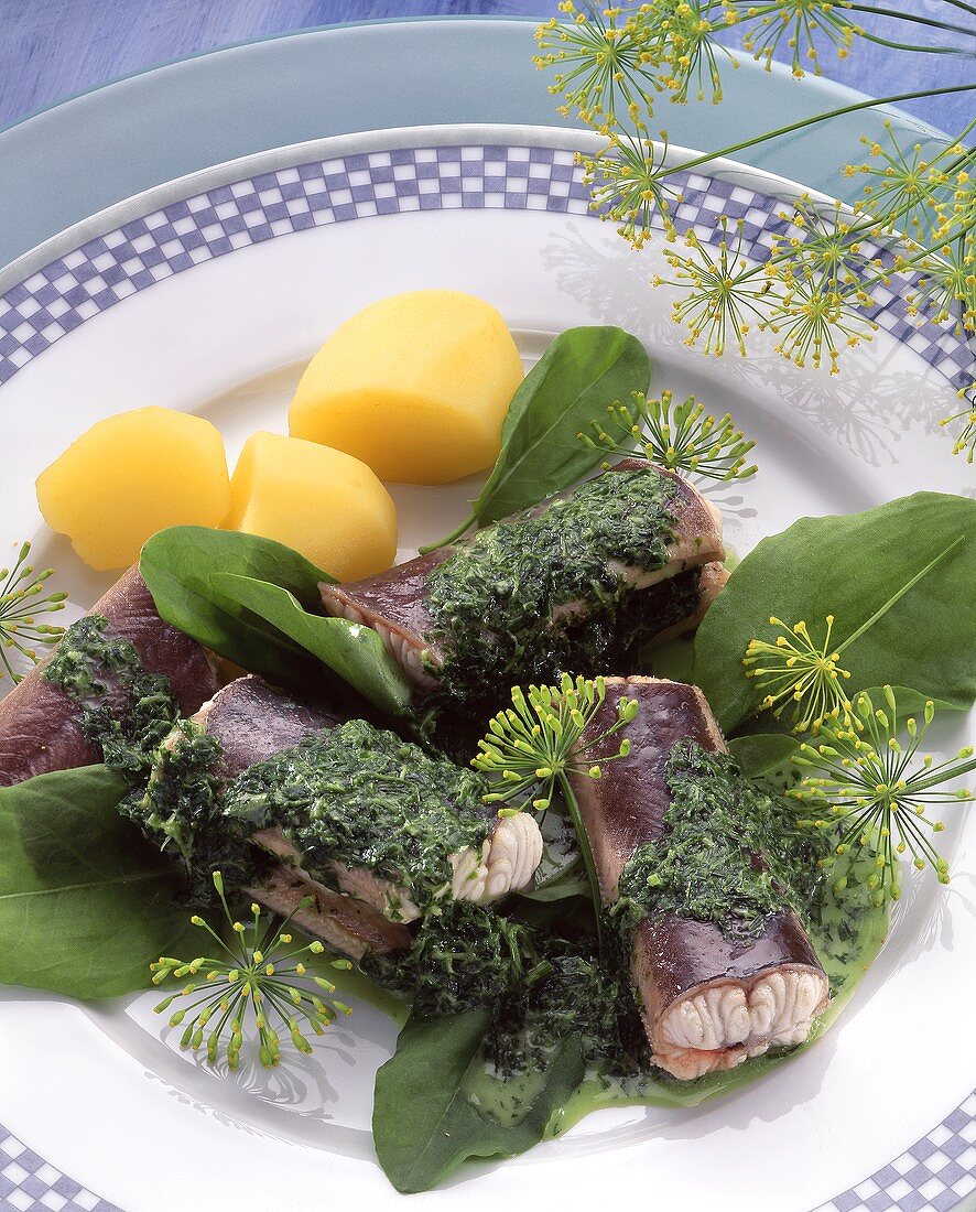 Grüner Aal mit Salzkartoffeln & frischer Kräutersauce