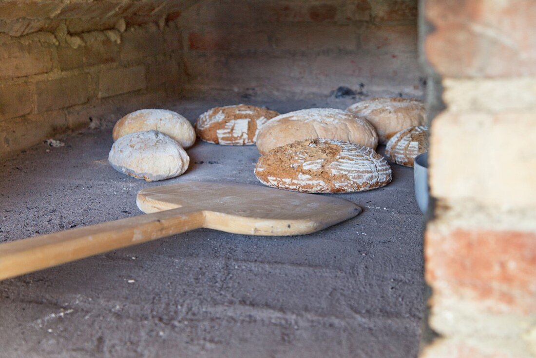 Homemade bread in a wood oven