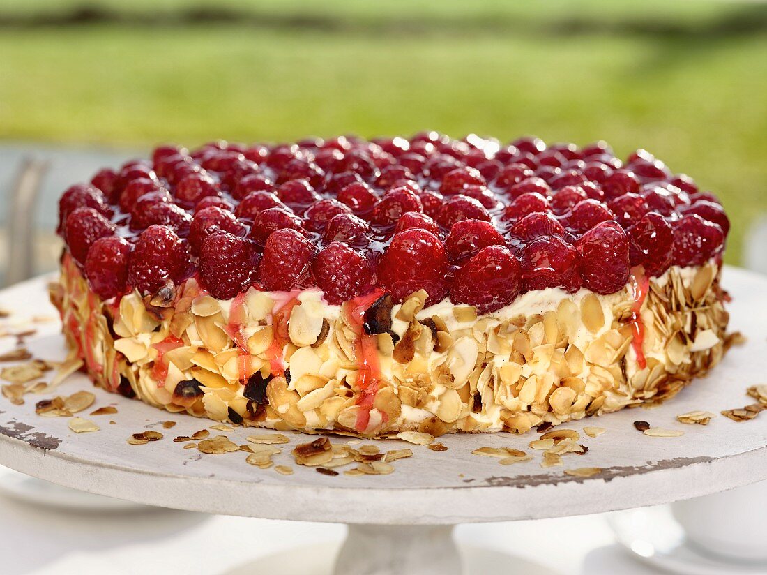 Sponge cake with raspberries, vanilla cream and roasted almond flakes