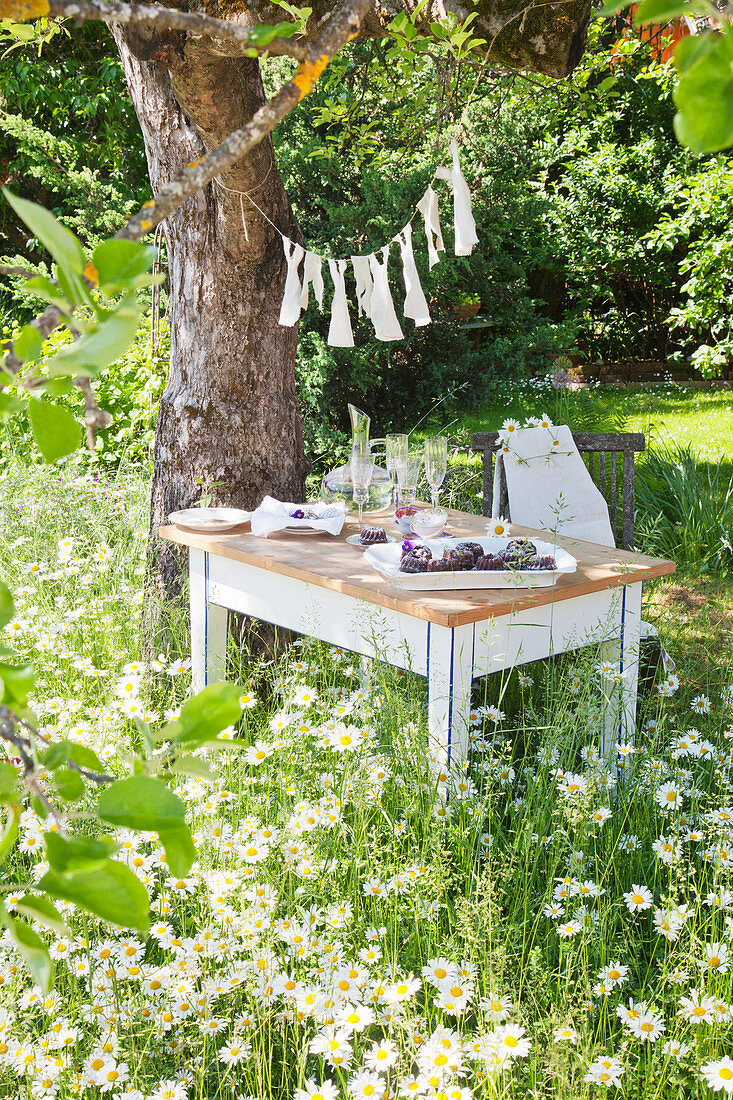 Set table under tree in flowering meadow in summery garden