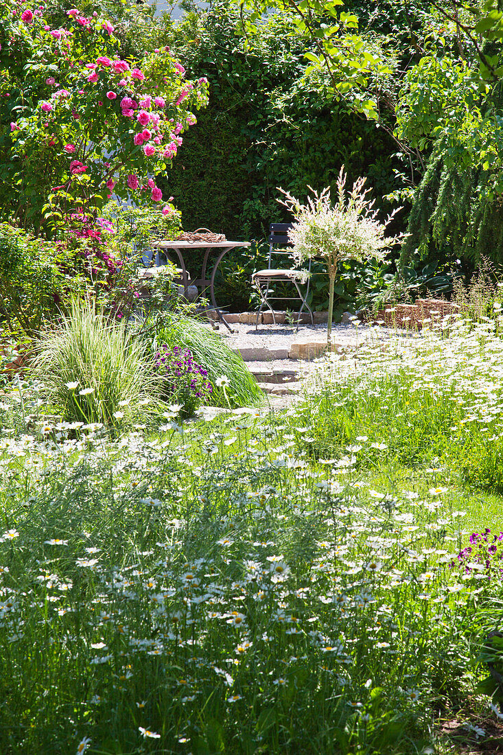 Meadow flowers and romantic seating area in summer garden