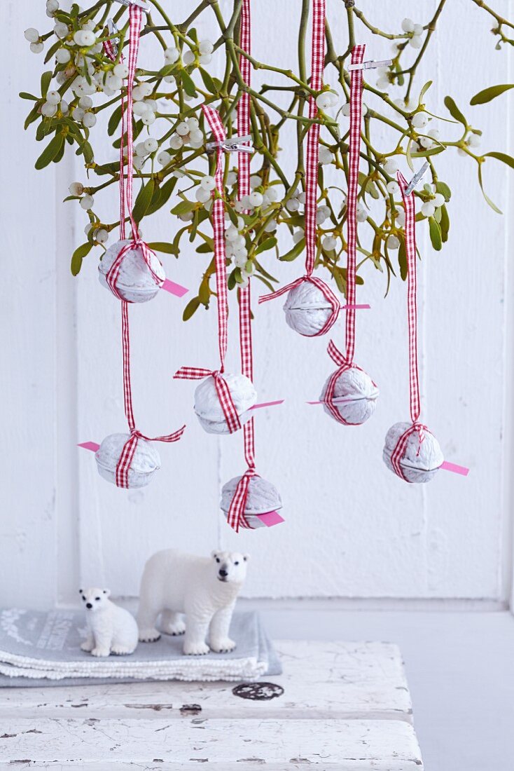 White walnuts with good wishes for New Year hanging from mistletoe