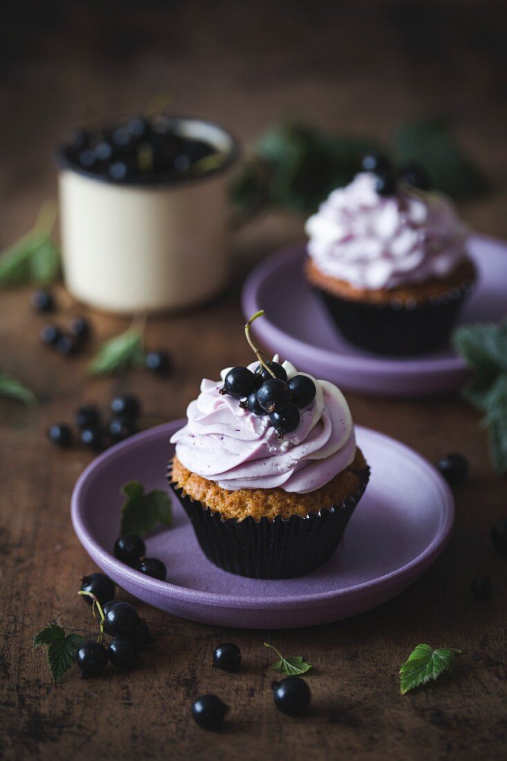 Cupcakes mit schwarzen Johannisbeeren