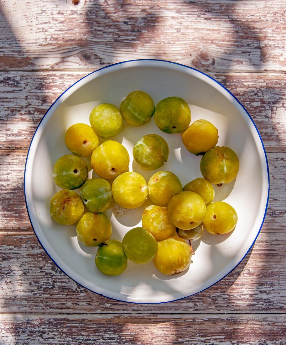Greengage plums on a plate (top view)