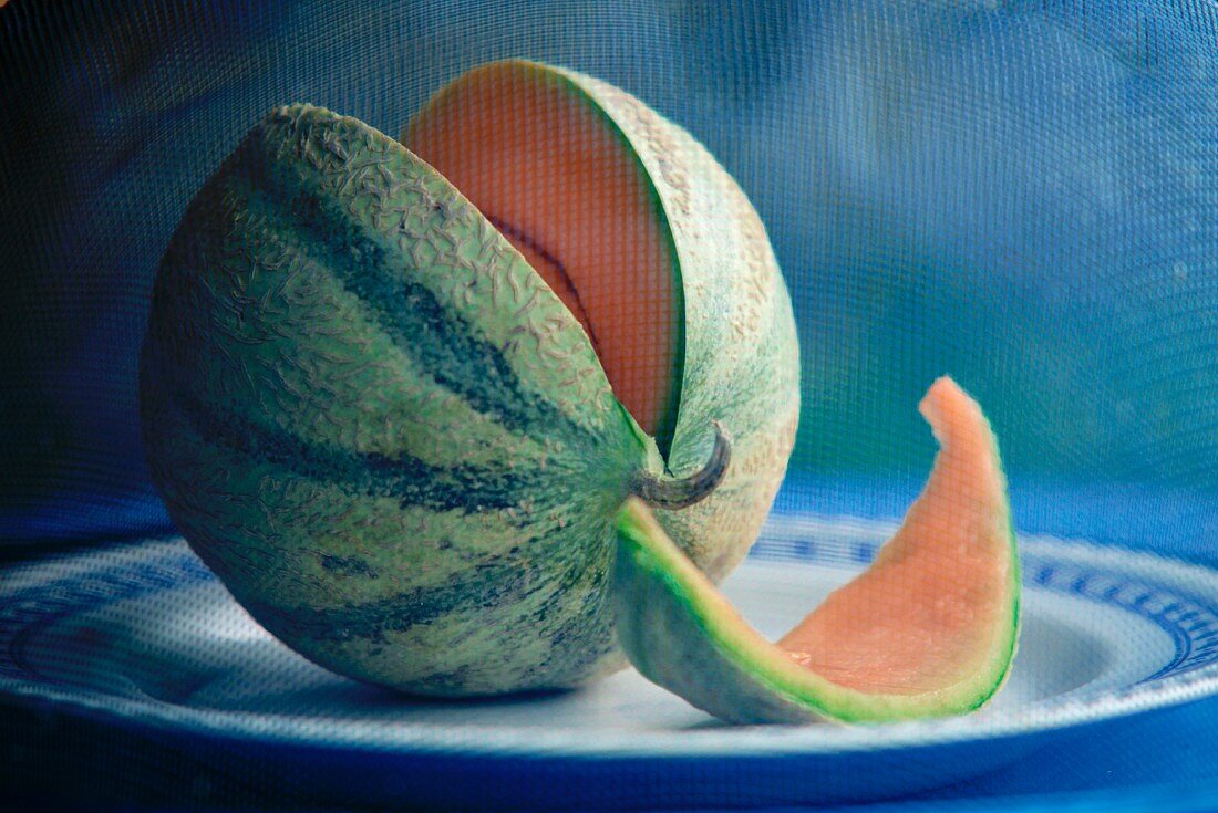 Melone unter Fliegenhaube