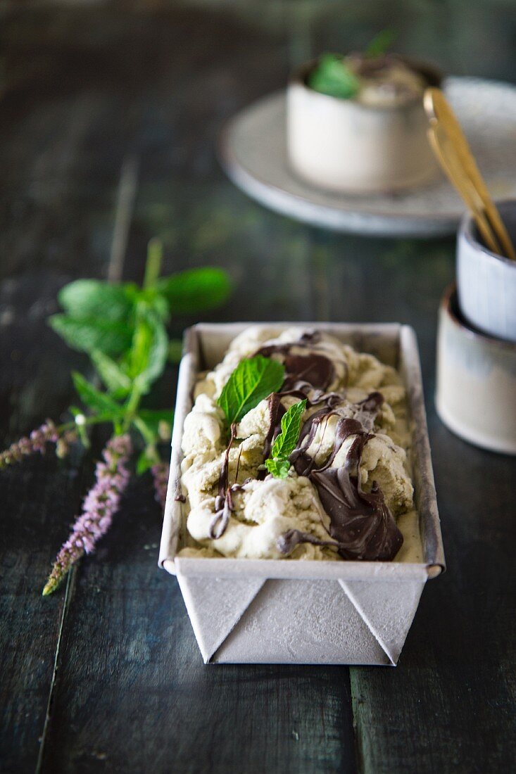 Mint and chocolate ice cream