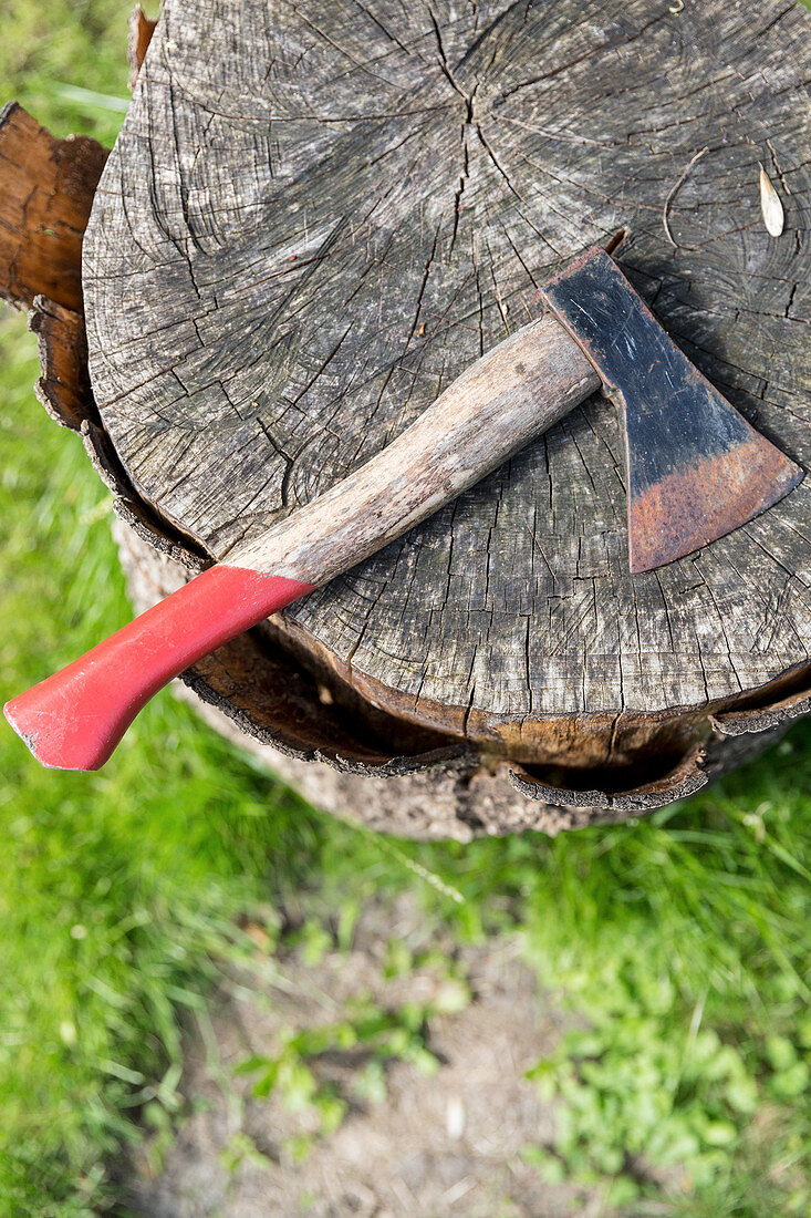 Beil liegt auf einem Hackklotz im Garten