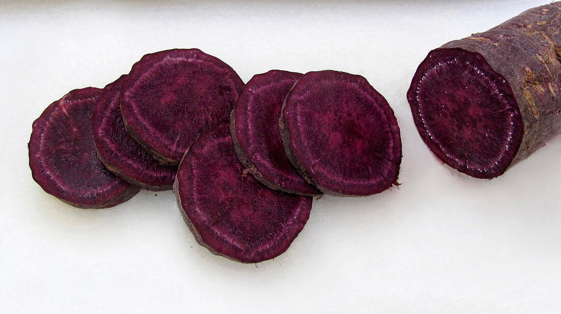 Purple sweet potato (Ipomoea batatas)