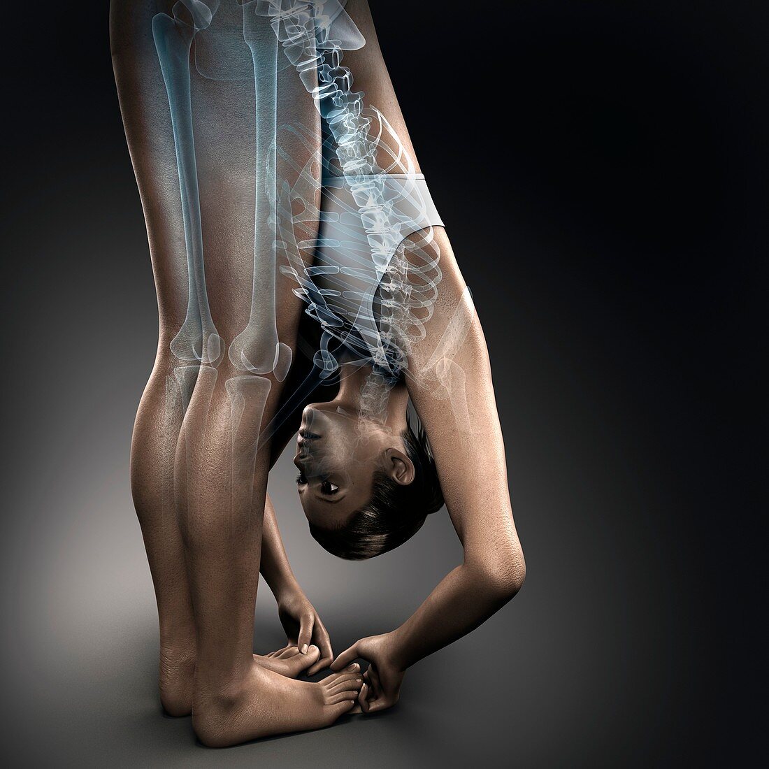 Yoga Big Toe Pose, artwork