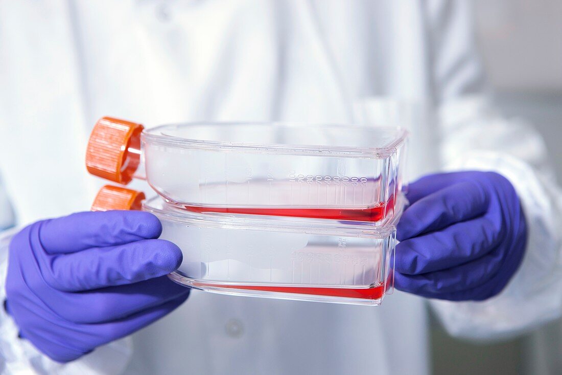 Stem cell drug research