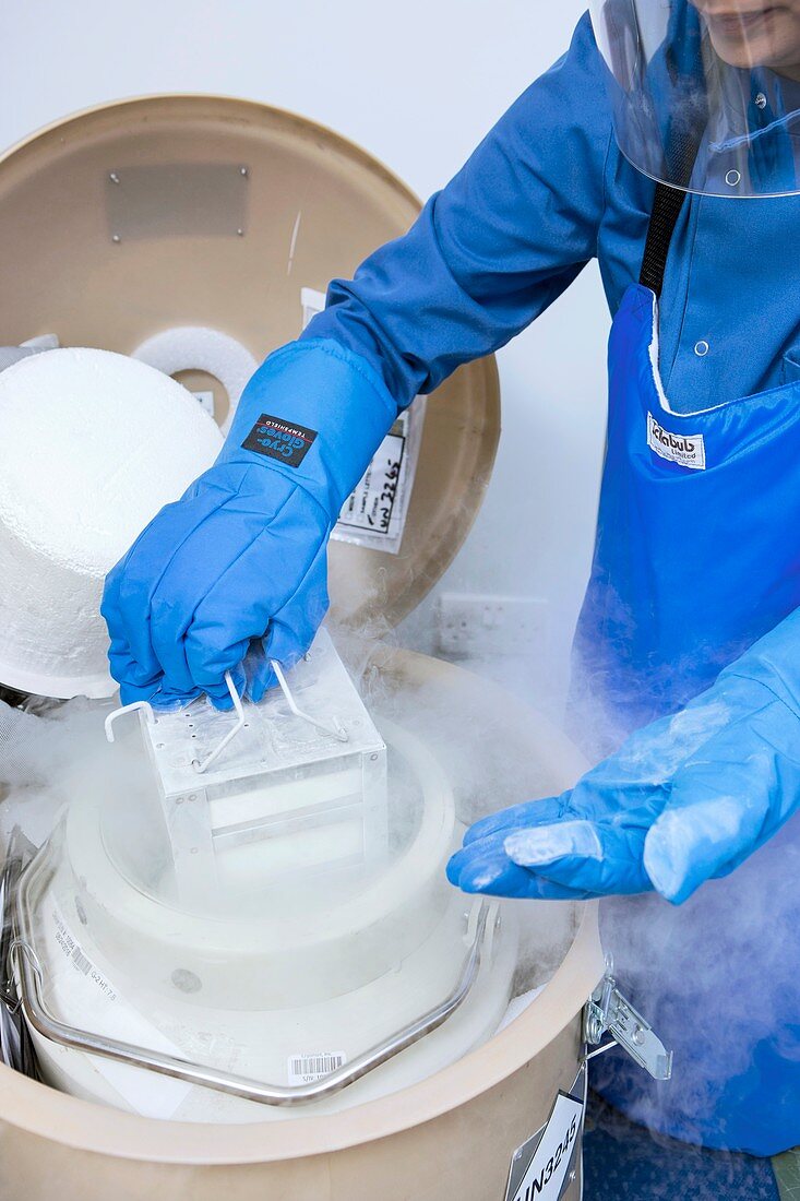 Cryopreservation in stem cell research