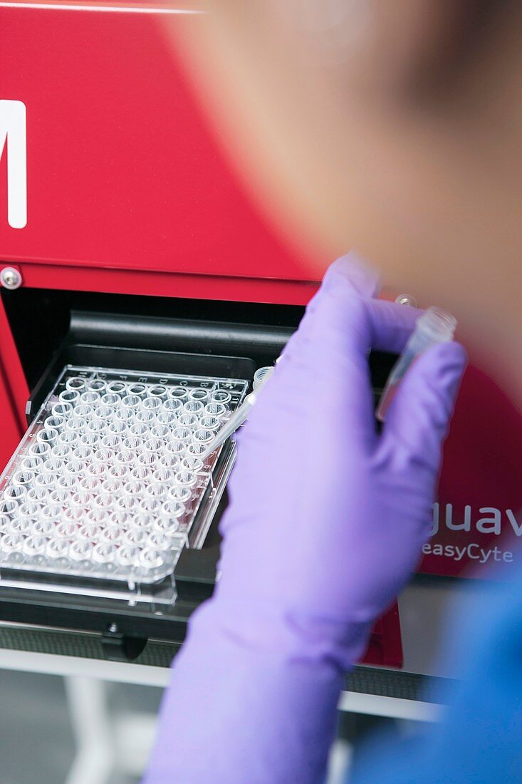 Flow cytometer analysis