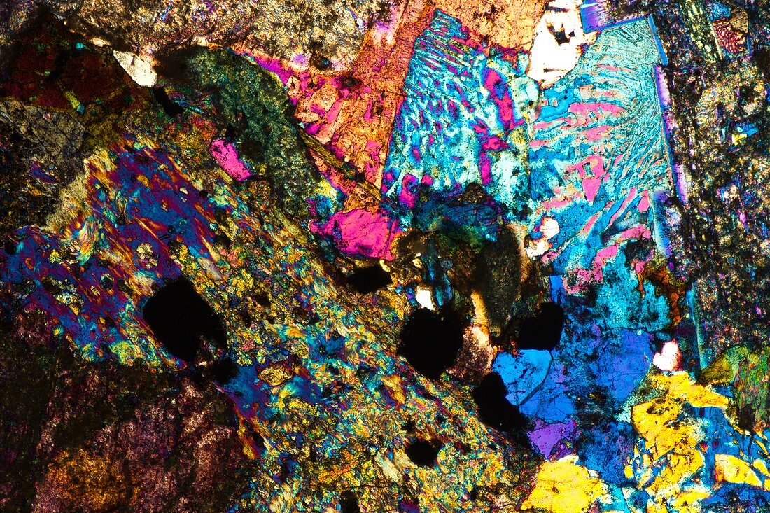 Selenite mineral, light micrograph