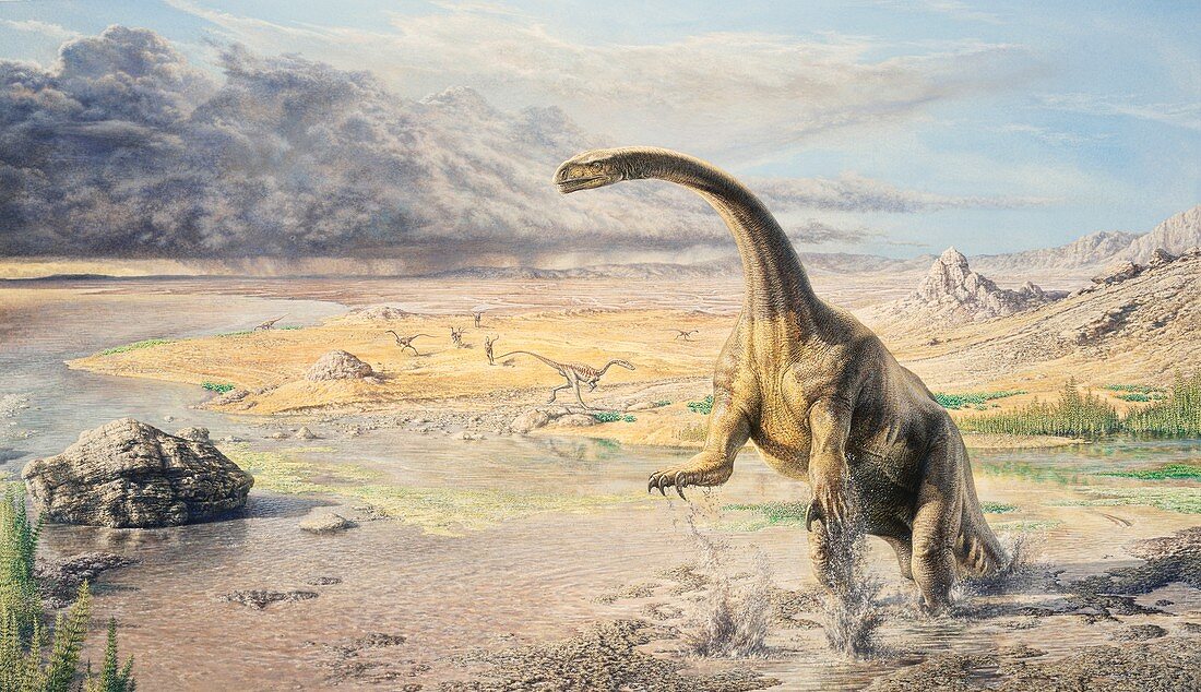 Prosauropod dinosaur, illustration