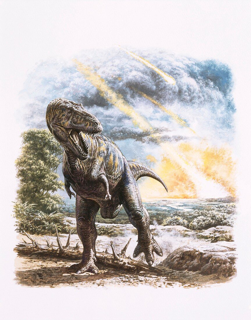 Tyrannosaurus rex dinosaur and meteorites