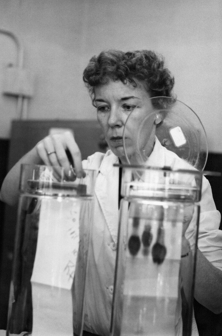 Mary Alice McWhinnie, US biologist