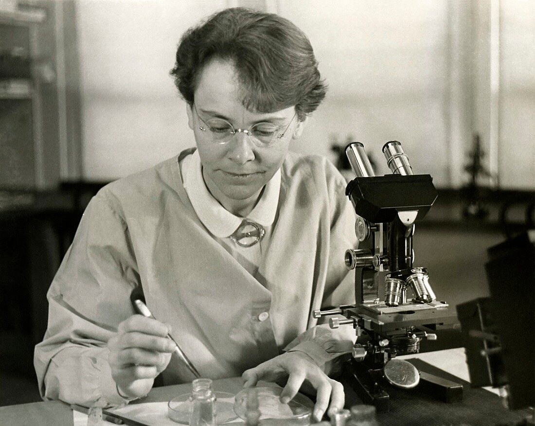 Barbara McClintock, American geneticist