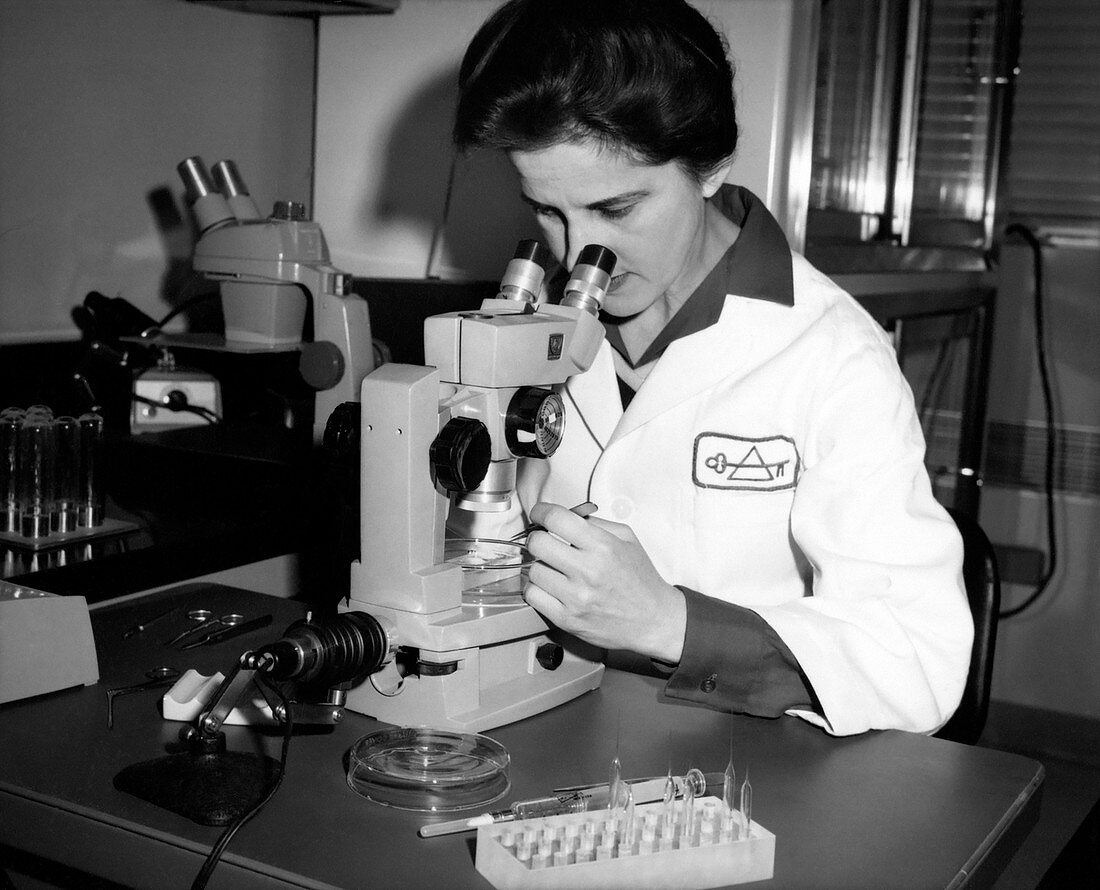 Beatrice Mintz, US embryologist