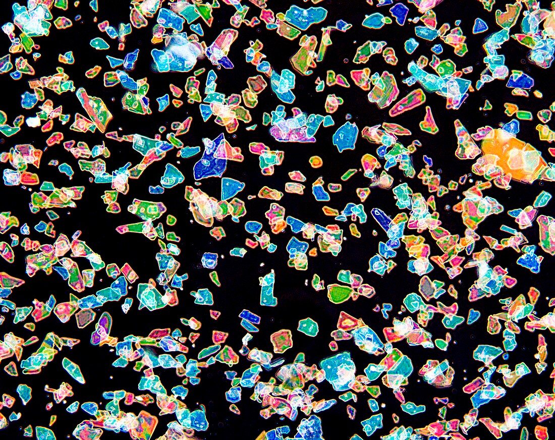 Glitter, light micrograph