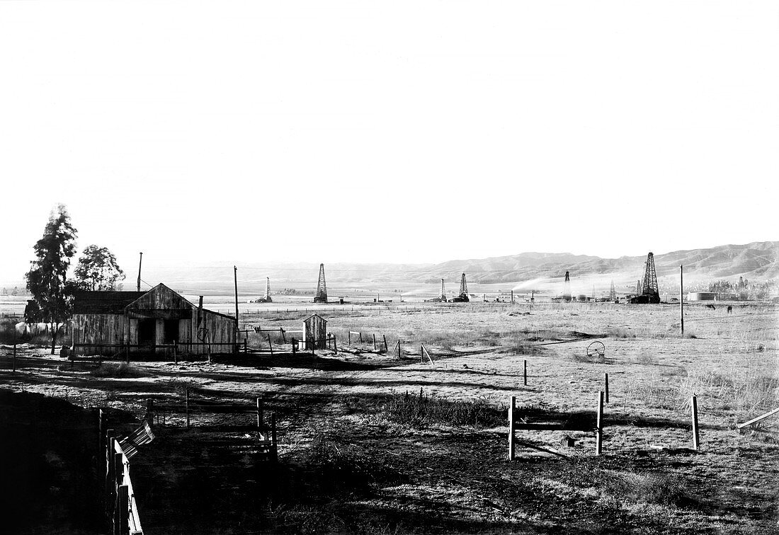 Salt Lake Oil Field, California, USA, 1906