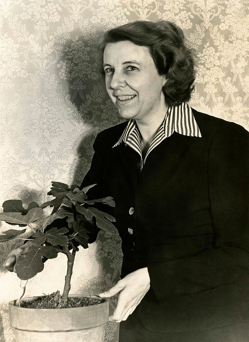 Eleanor King, US editor and author