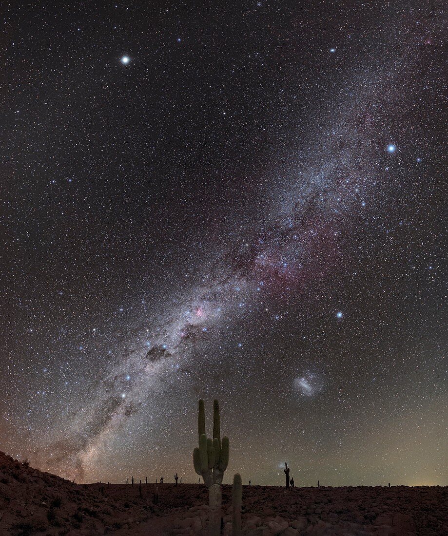Milky Way over cacti, Atacama Desert, Chile