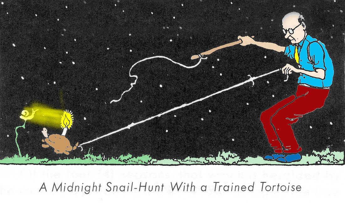 Midnight snail hunt by W. Heath Robinson