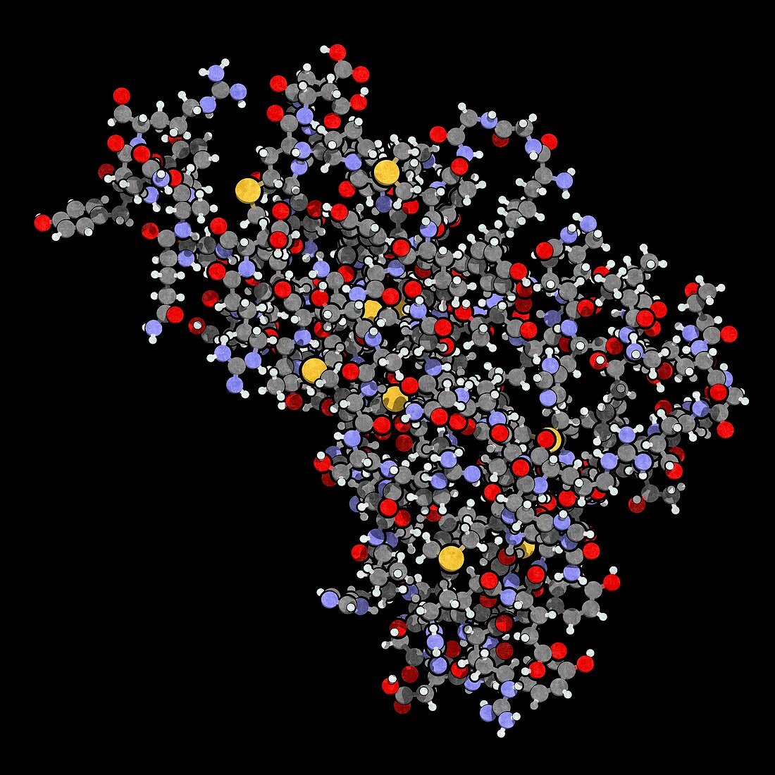 Human prion protein molecule, illustration