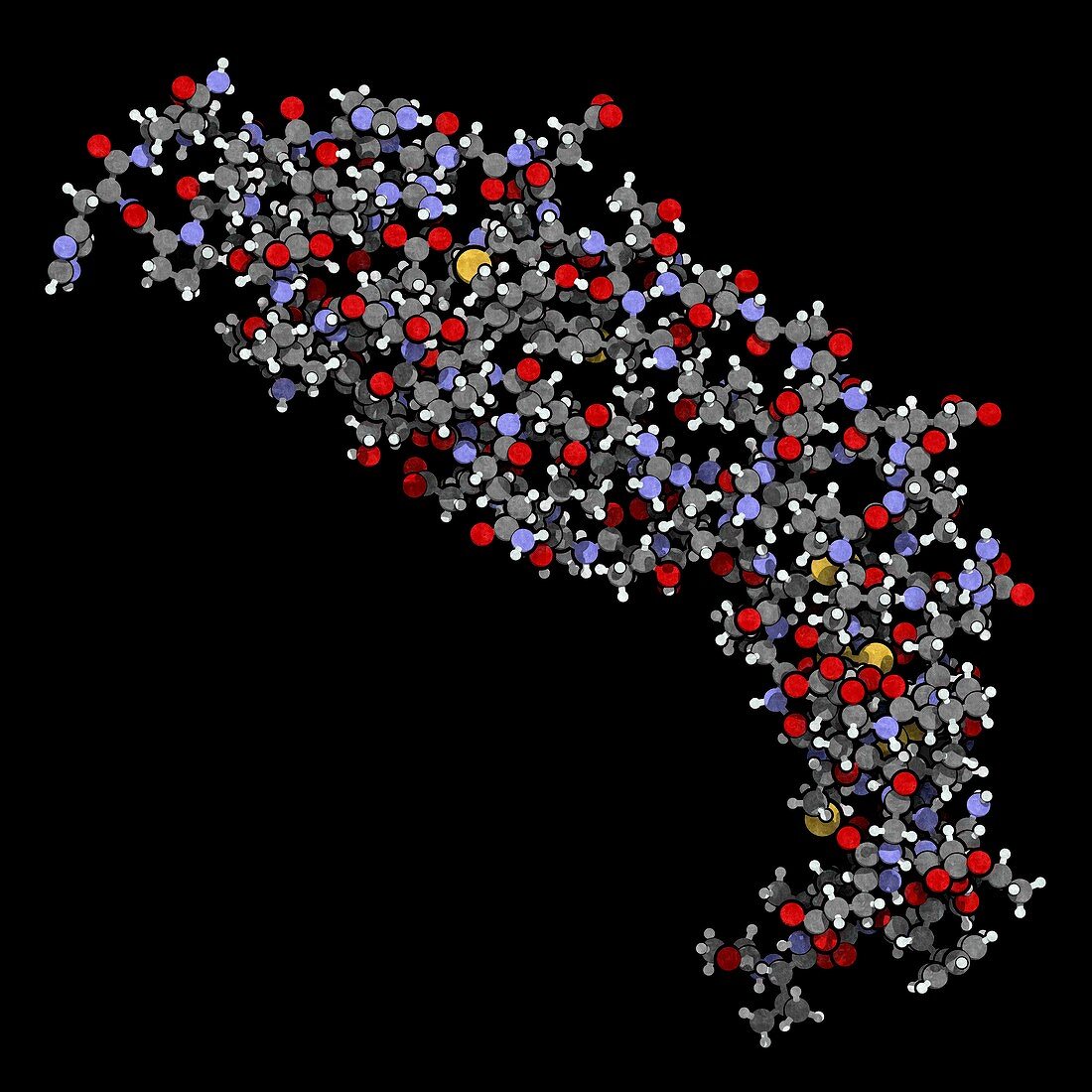 Endothelial growth factor A molecule, illustration