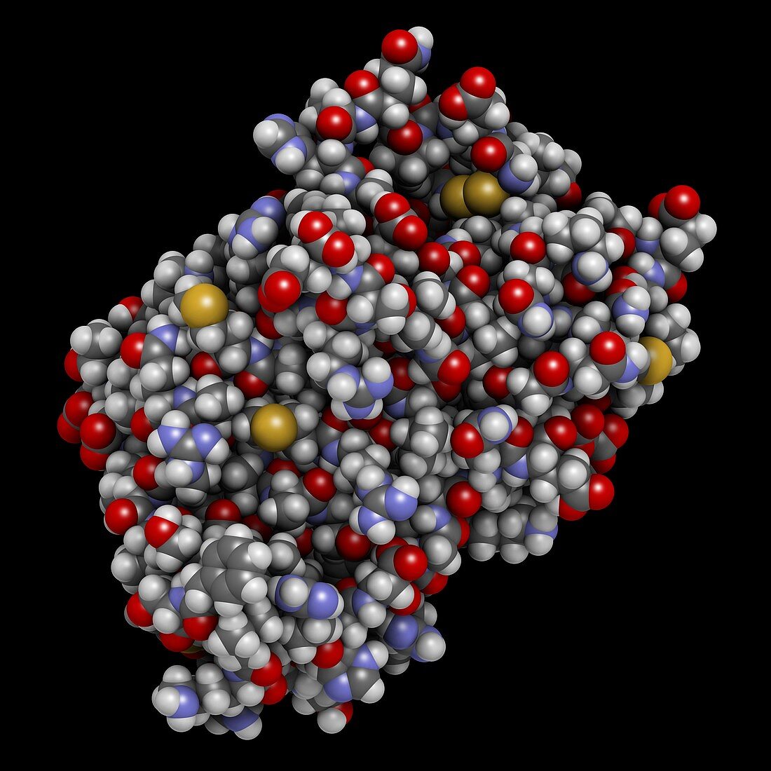 Interferon alpha 2a molecule, illustration