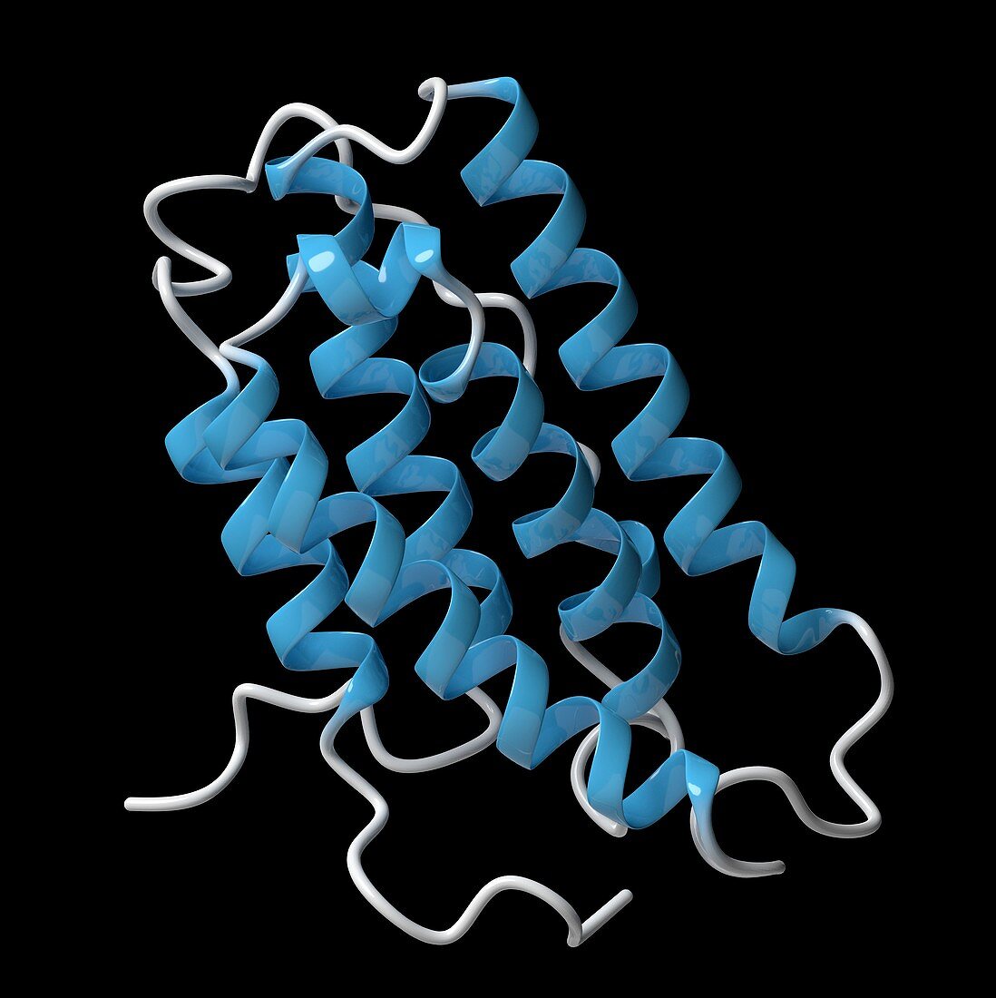 Interferon alpha 2a molecule, illustration