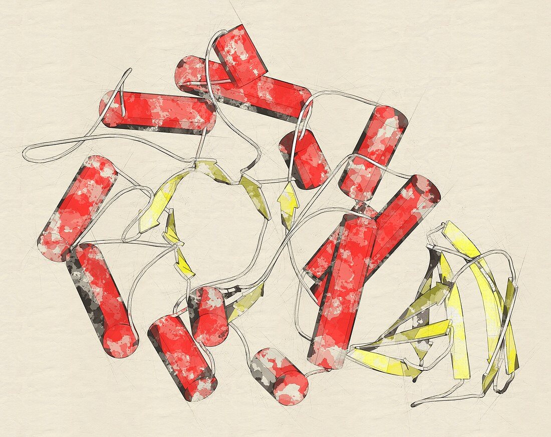 Alpha-galactosidase enzyme molecule, illustration