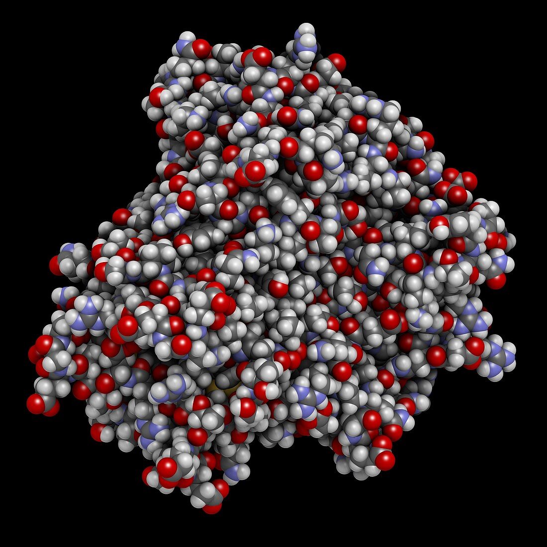 TNF alpha molecule, illustration
