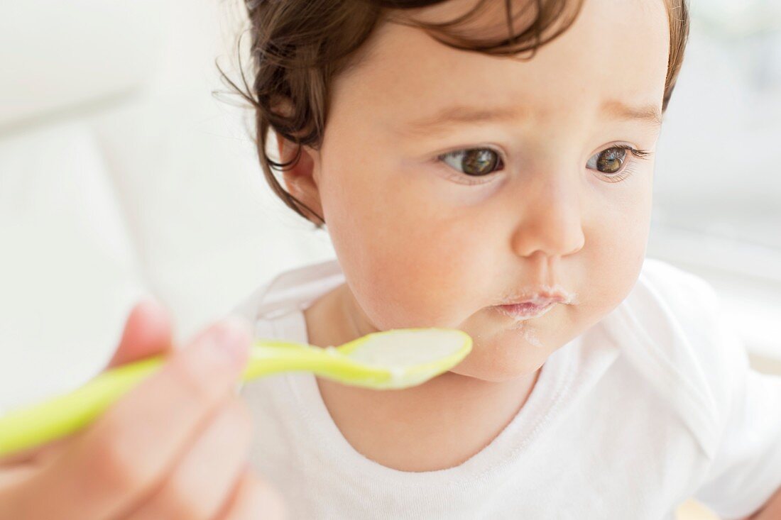 Female toddler being spoon fed