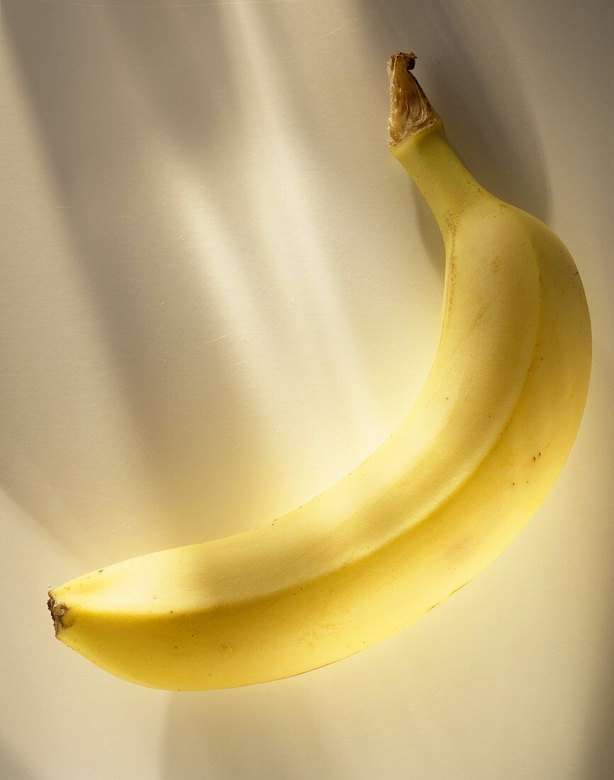 Sunlit Banana