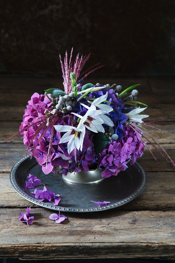 Violettes Gesteck aus Hortensien, Sterngladiolen und Kapgrün