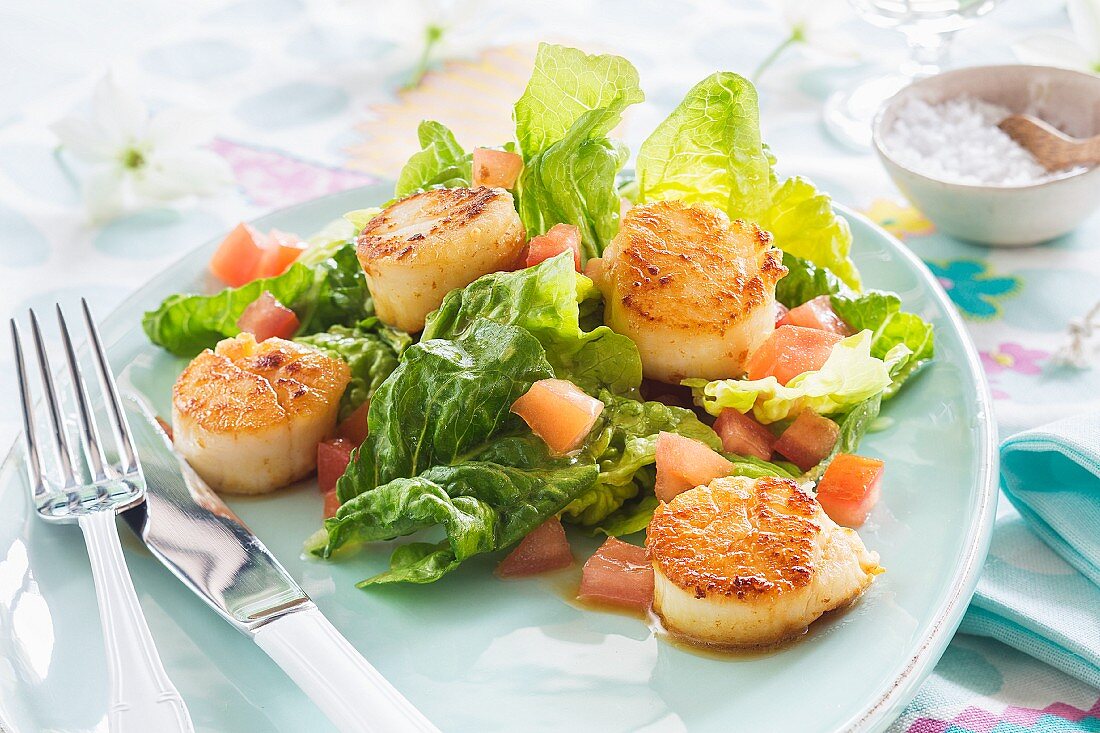 Scallops with salad