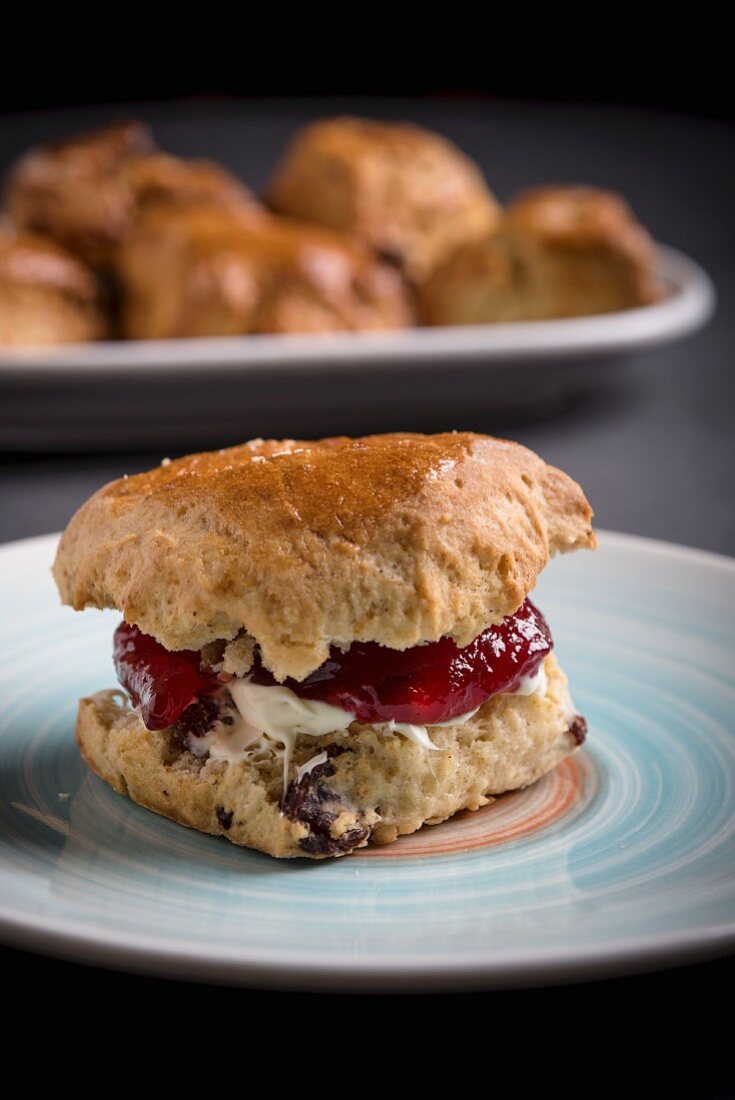 Single scone with jam and cloted cream