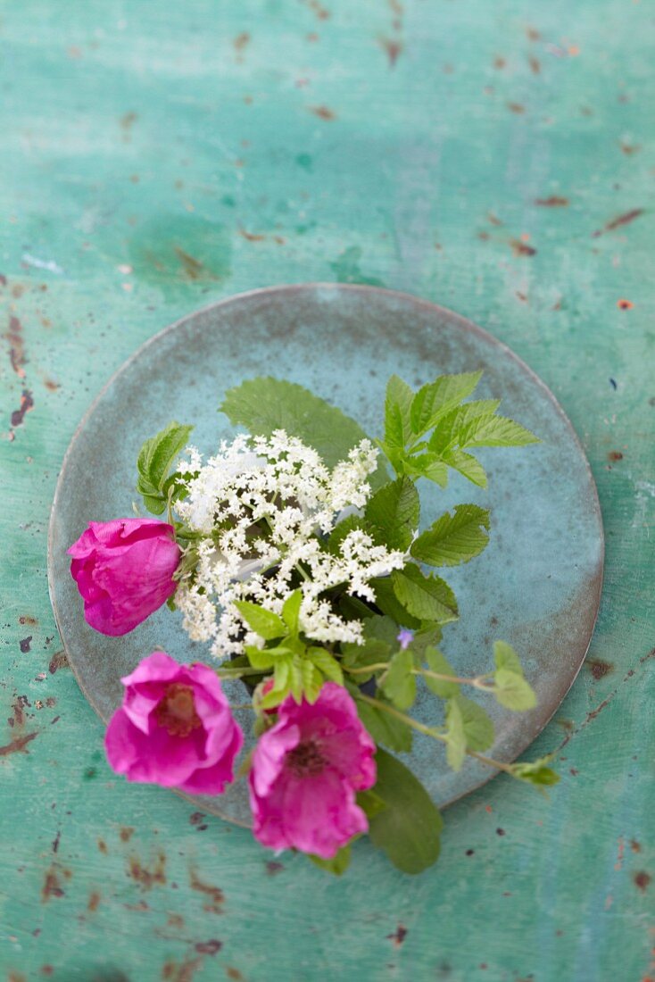 Wild roses and wild herbs