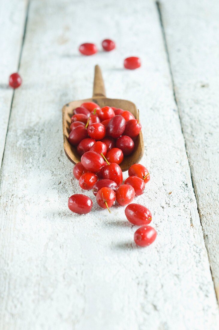 Freshly picked Cornelian cherries in a glass jar on a wooden scoop