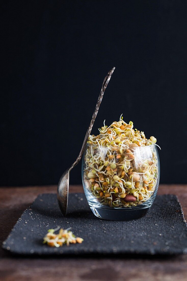 Bean sprouts in a glass
