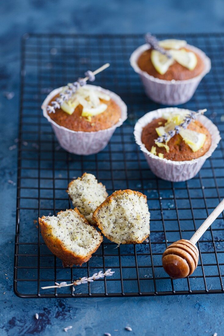 Poppy seed and honey muffins with lemon and lavender flowers