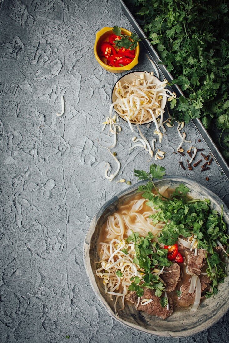 Pho mit Rindfleisch, Reisnudeln und Koriandergrün (Vietnam)