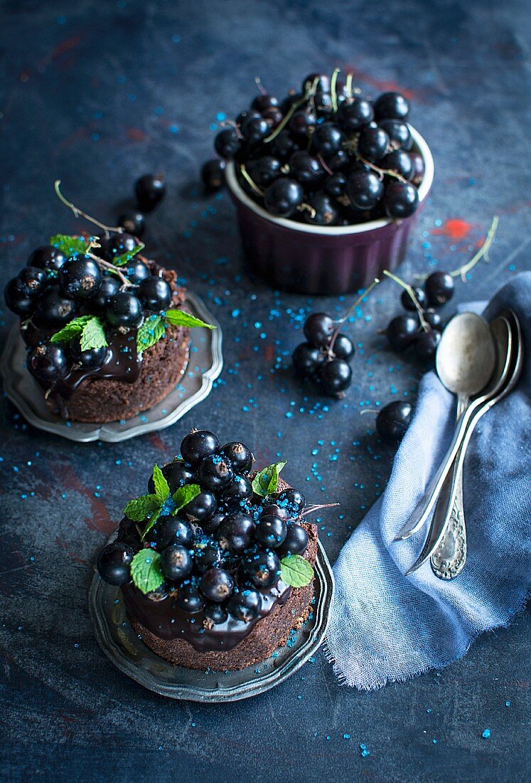 Small chocolate cakes with blackcurrants and mint